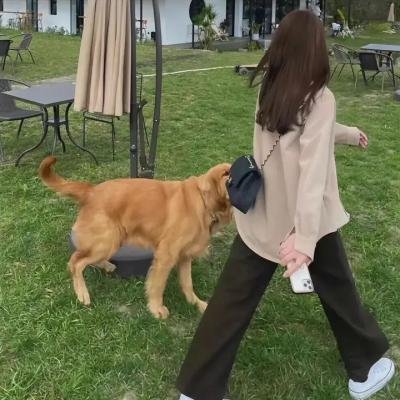 康纳·麦格雷戈：臭名昭著